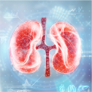 Próby nerkowe - pakiet badań