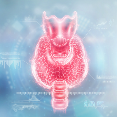 Zdrowa tarczyca - pakiet badań. Badania zalecane przy zmęczeniu, problemach z wagą, nastrojem lub koncentracją. Pozwalają wykryć ewentualne zaburzenia hormonalne i choroby autoimmunologiczne
