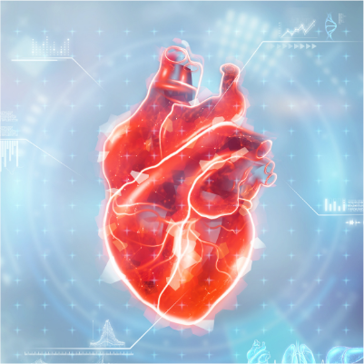 Zdrowe serce - pakiet badań. Badania dla osób z nadciśnieniem, podwyższonym cholesterolem lub obciążeniami rodzinnymi związanymi z chorobami sercowo-naczyniowymi