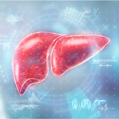 Zdrowa wątroba - pakiet badań. Badania dla osób z zaburzeniami trawienia, przewlekłym zmęczeniem, stosujących leki lub obciążonych czynnikami ryzyka chorób wątroby